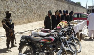 کندهار کي د غلچکي بریدګرو مسؤل او ۷ تنه نور وسلوالو  سره  ونیول سول