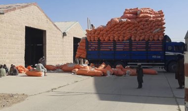 سږ کال د بست تصدۍ فابریکه د ۲۶۰ میلیونه افغانیو په ارزښت له کرونده ګرو پنبه پلوري