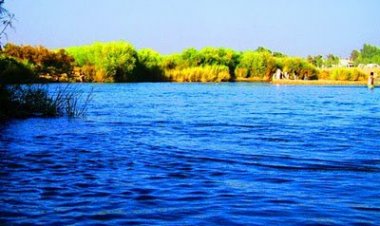 اونیزه مشاعره