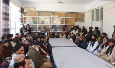 د زراعت او مالدارۍ وزیر: هلمند کي به د زراعت په برخه کي هر څه معیاري کړو