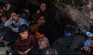 د مهاجرت سازمان: د افغانستان د اقتصادي بحران ضربه کډوالو ته رسېږي