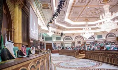 د اسلامي همکاریو سازمان د افغانستان لپاره ځانګړی استازی وټاکه