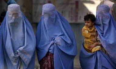 د کډوالۍ نړیوال سازمان ۸۰۰ افغان مېرمنې په بېلابېلو برخو کې روزلي