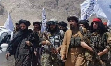 طالبان: پر ټولنیزو رسنیو د یو 'پخواني پوځي' د وهلو ډبولو وېډیو څېړو