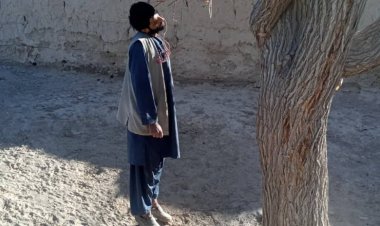 يوه ځوان ځان وواژه !