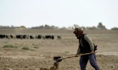 'FAO': افغانستان په تېرو ۵ کلونو کې له ۳مې وچکالۍ سره مخ دی