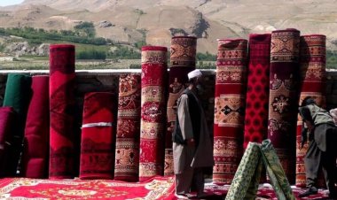 چارواکي: ۲۰۲۱ کې ۹ زره متر مربع غالۍ له افغانستانه بهر ته صادر سوي