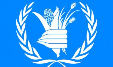 مري اېلین مک ګرووارټي: نړیواله ټولنه دې افغانستان ته د پیسو لېږد جاري وساتي