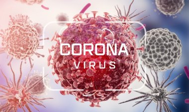 په جرمني کې د کرونا ویروس د اومیکرن بڼې پېښي زیاتې شوې