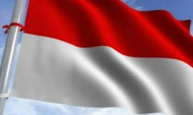 m i r  پولنډي شرکت افغانستان کې د پانګونې غوښتنه کړې