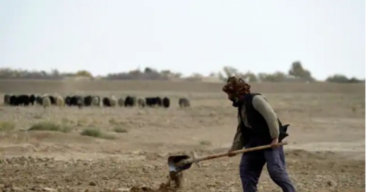 'FAO': افغانستان په تېرو ۵ کلونو کې له ۳مې وچکالۍ سره مخ دی