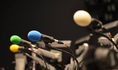 یوناما: ا ا ا باید د خبریالانو نیولو دلیل څرګند کړي