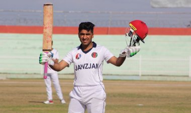 نیمه سلیزه!