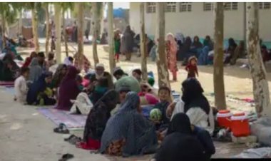 یو اېن اېچ سي ار: په کندهار کې مو له ۳۵۰۰ بې ځایه شویو سره مرسته کړي