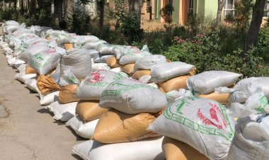 FAO: افغانستان کې له وچکالۍ ځپلو سره د خپلو مرستو دوام ورکوو