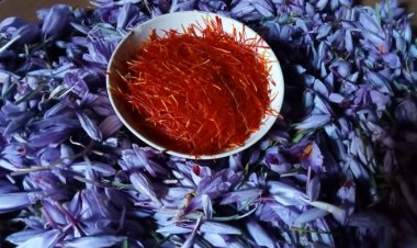 د هرات چارواکي: زعفران په نړیوالو بازارونو کې په ښه بیه پلورل شوي