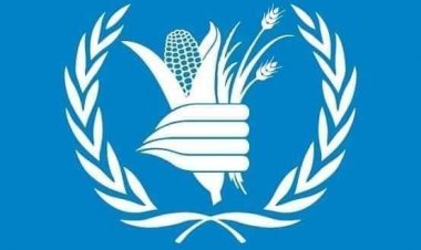 د خوړو نړیوال پروګرام: روان کال فاریاب کې نږدې یو ملیون کسانو سره مرستې شوي