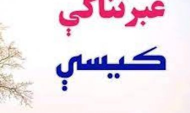 عبرتناکې کیسې