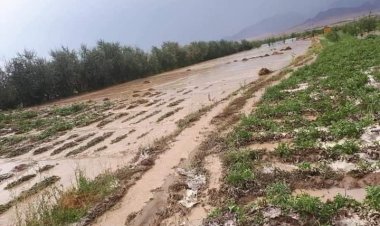 ورښتونو په ميدان وردکو او نورستان کې مالي زیانونه اړولي