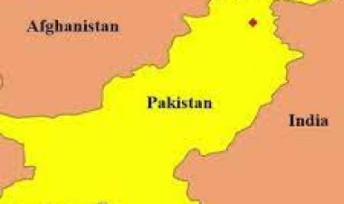 وسله والو کسانو په پاکستان کې دوه سیکان وژلي دي