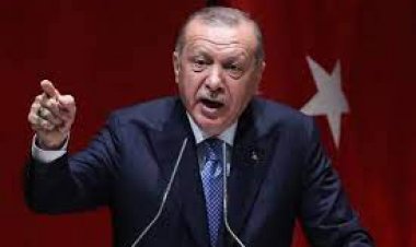 د ترکیې خبرداری؛‌ ناټو کې به د فنلنډ‌ او سویډن د غړیتوب مخه ونیسو