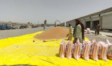 هلمند کي  ولسي وګړي د غنمو دبیو له لوړالی شکایت کوي .