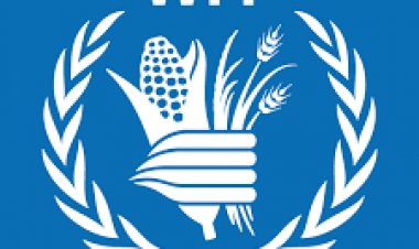 د خوړو نړيوال پروګرام: روان ميلادي کال کې له يو ميليون افغانانو سره مرستې سوي