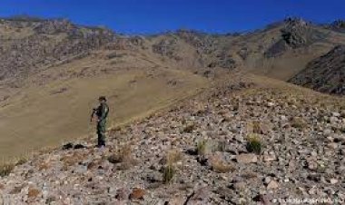 يو افغان - امريکايي شرکت غواړي د حاجي ګک په کان کې پانګونه وکړي