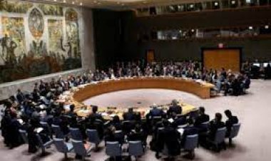 ملګرو ملتونو د پکتيکا زلزله ځپلو سيمو ته بېلا بېل ګرځنده ټيمونه استولي دي