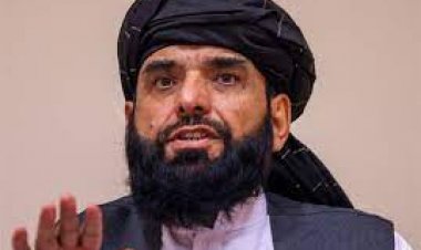 سهيل شاهين: د الظواهري د وژنې په تړاو د امريکا د ادعا څېړنه کوو