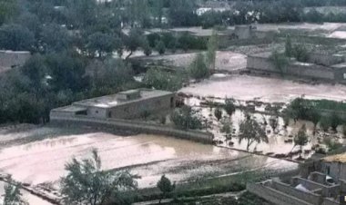 وردګو او لوګر ولایتونو کې سېلابونو مالي او ځاني زیانونه اړولي