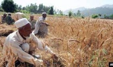 هلمند او کندهار کې ۲۵ زره کروندګرو سره مرستې سوي