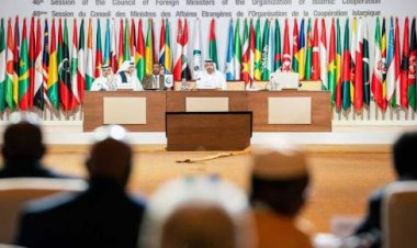 د اسلامي همکارۍ سازمان د افغانستان له سېلاب ځپلو سره د مرستې غوښتنه کړې