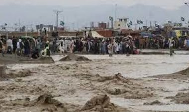 پاکستاني چارواکي: سېلابونو ۱۰ میلیارده ډالره زیان اړولی، نړیوال دې مرسته وکړي