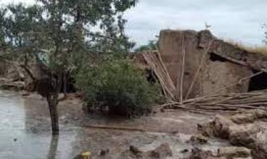 ا ا ا : په ۲۱ ولایتونو کې د سېلابونو له کبله د مړو شمېر ۱۹۴ ته ورسېد