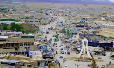 روغتيايي چارواکي: زابل کې د نس ناستې ناروغۍ سلګونه مثبتې پېښې ثبت سوي