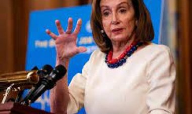 د امریکا د کانګریس د استازو جرګې مشره ارمنستان ته ورسېده