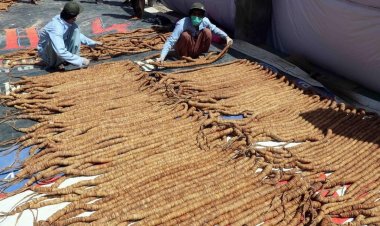 کندهار کې د يونيم ملیون ډالرو په ارزښت د وچې مېوې د پروسس فابريکه جوړه سوه.