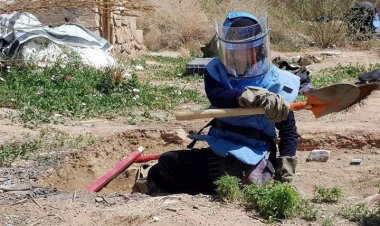 د ماین پاکونې او همغږۍ، انسجام ریاست وايي چې په تېر یوه کال کې افغانستان کې ۵۵۶ تنه چې ډېری یې ماشومان دي مرګ ژوبله اوښتې.