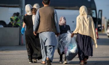 کاناډا وايي، ۳۳۵ افغانان يې تېره ورځ خپل هېواد ته انتقال کړه