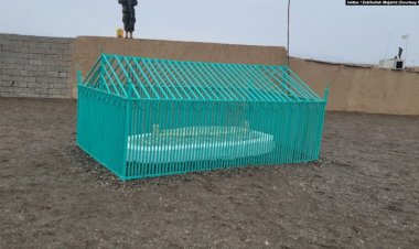 د ا.ا.ا  د خپل پخواني مشر ملا محمد عمر مجاهد قبر خلکو ته وښود.