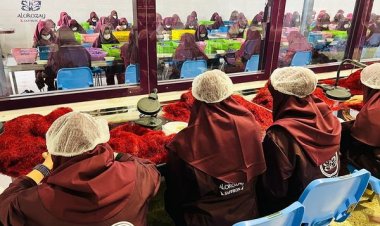 ‏هرات کې يو خصوصي شرکت د زعفرانو د تولید او پروسس په برخه کې ۷۰۰ ښځو ته د کار زمینه برابره کړې.