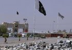 Pakistan army says 7 killed by Taliban gunfire