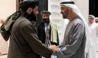 دفاع وزارت . سرپرست وزیر د عربې متحده اماراتو له مشر سره لیدلې