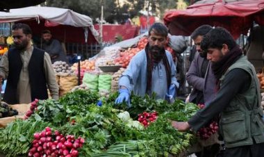 د ا.ا ماليې وزارت: پر واردېدونکو پيازو او رومي بانجانو مو ګمرکي تعرفه ټيټه کړې ده.