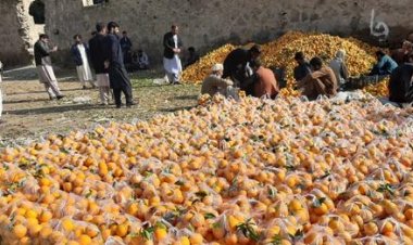 د مالټو قرارداديان: د ننګرهار مالټو ته دې نړيوال بازار پيدا سي