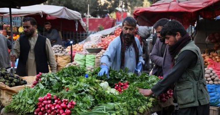 د ا.ا ماليې وزارت: پر واردېدونکو پيازو او رومي بانجانو مو ګمرکي تعرفه ټيټه کړې ده.