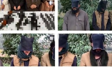 د ننګرهار په بهسودو ولسوالۍ ۷ وسله وال غله نیول سوي دي