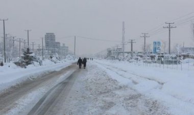 په افغانستان کې د ژمي مرګونې څپه او له کبله یې ځاني او مالي زیانونه