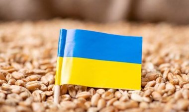 اوکراین افغانستان سره د بشري مرستو په لړ کې د نږدې ۱۶زره ټُنه غنمو د مرستې خبر ورکړی دی.